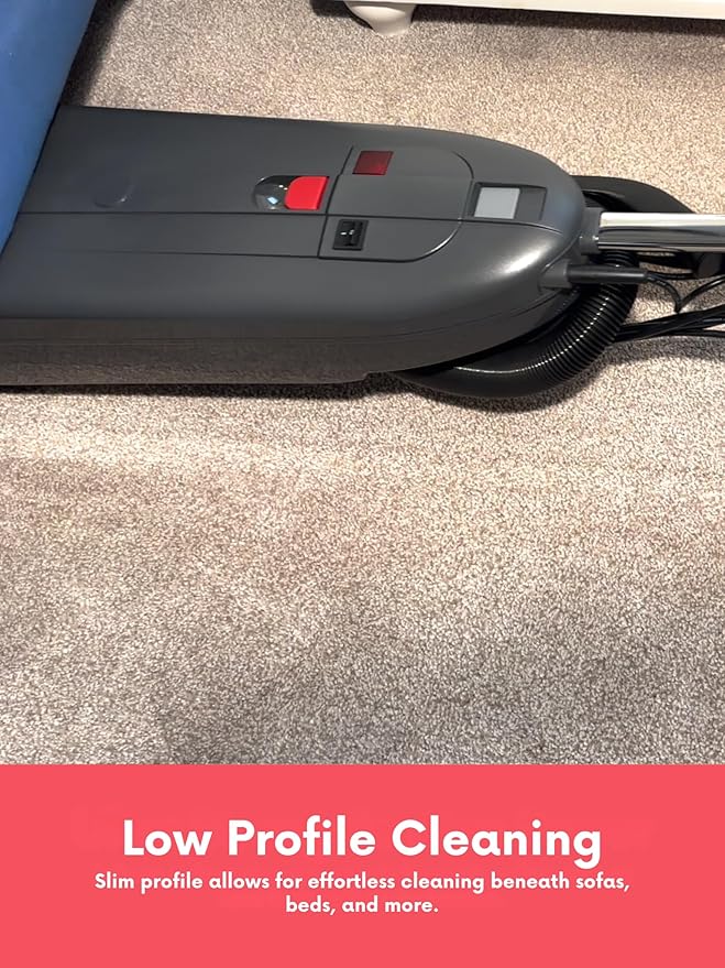Aspiradora Vertical con Cable, Filtro HEPA, Cabezal Ajustable 5000 RPM, Elimina Manchas miniatura 9