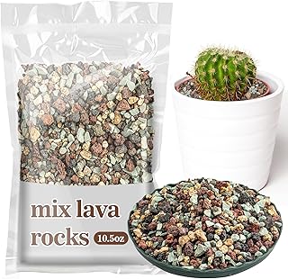 Sukh Horticultural Succulent Soil Mix - Succulent Rocks Bonsai Mix Succulent Potting Mix Lava Rocks Cactus Soil Potting Mix Amendment.