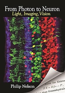 From Photon to Neuron: Light, Imaging, Vision