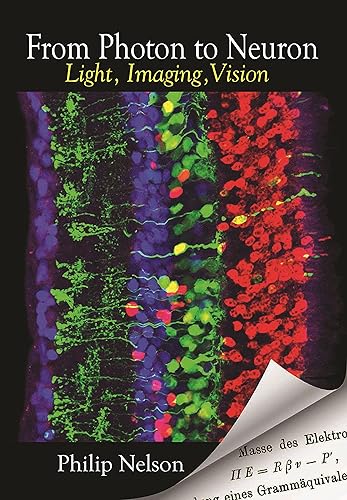 From Photon to Neuron: Light, Imaging, Vision