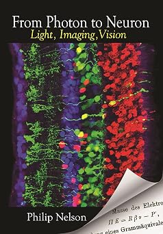 From Photon to Neuron: Light, Imaging, Vision