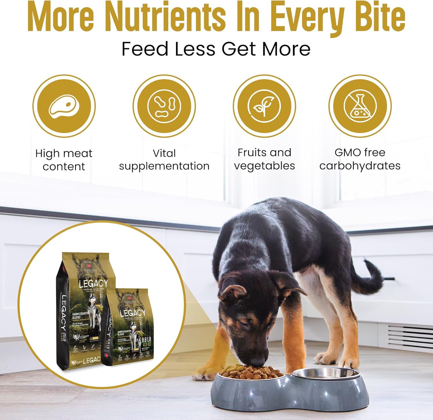 LEGACY Premium Grain-Free Dog Food | Farm and Country Dry Dog Food Recipe | Nutritious Chicken & Turkey Formula for All Life Stages | 25 lb