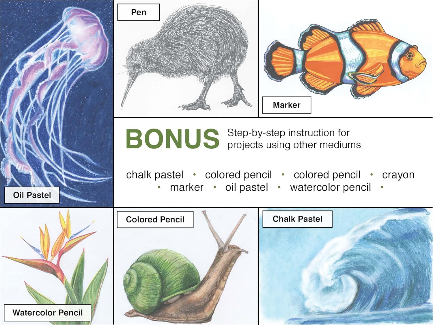 Drawing Nature: The Quick and Easy Way to Draw Animals, Plants, and More (The 15-Minute Artist)