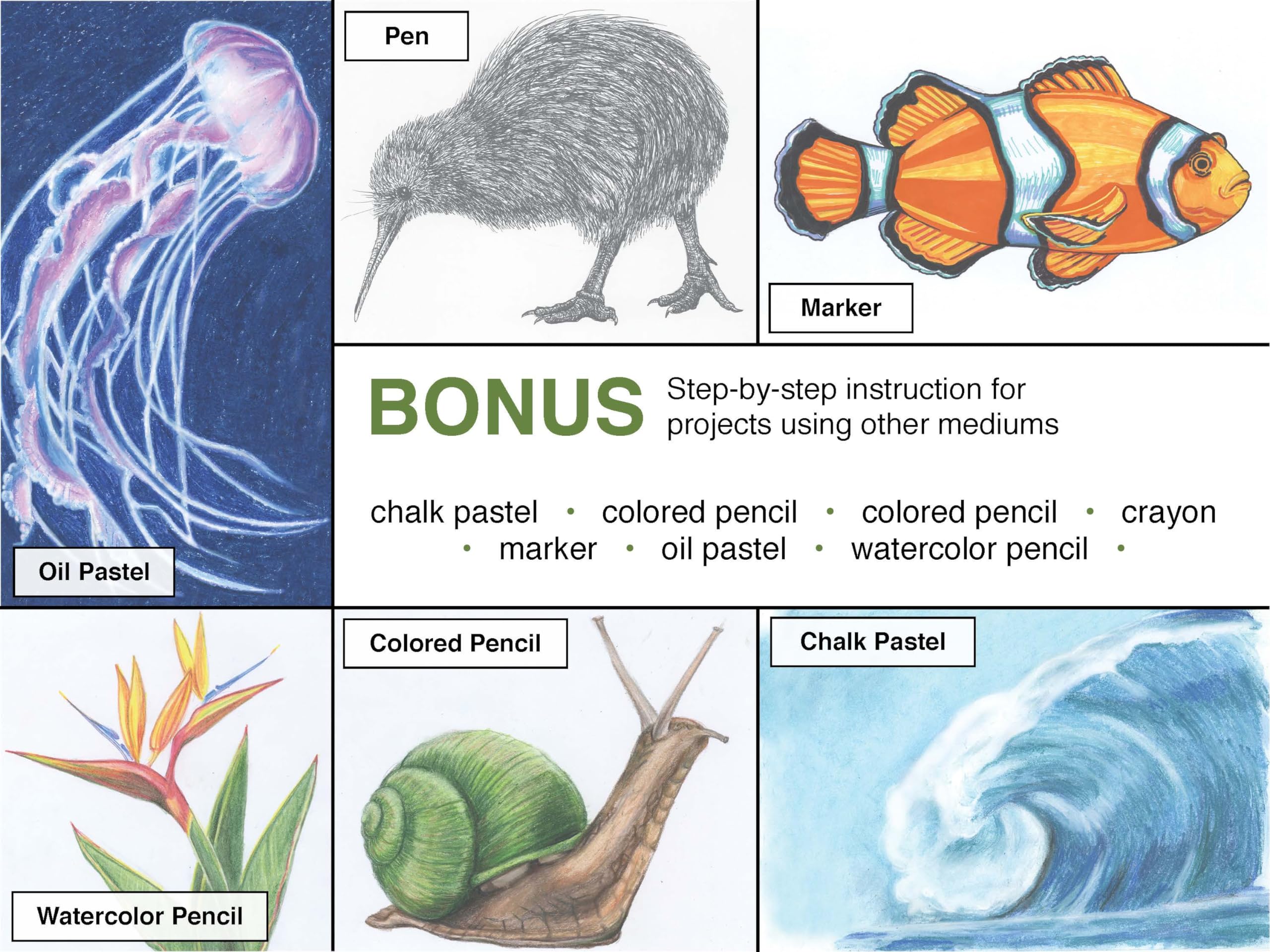Drawing Nature: The Quick and Easy Way to Draw Animals, Plants, and More (The 15 Minute Artist)