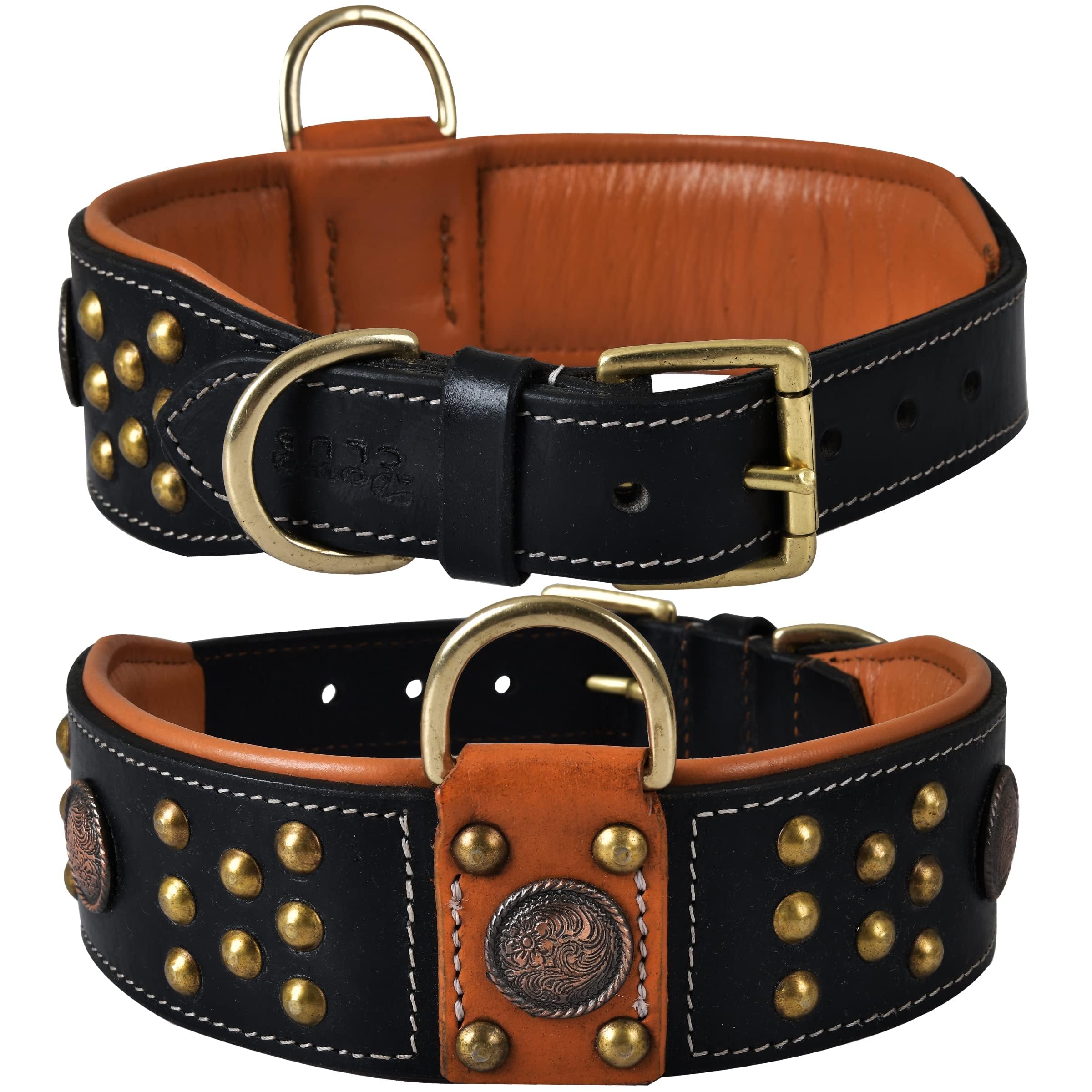 DowgClub Cupola Collar