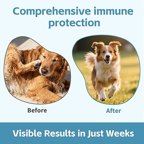 Miniatura 4 de Quercetina de fuerza nutricional para perros con bromelina para apoyar el sistema inmunológico equilibrado, promover el alivio inflamatorio y la