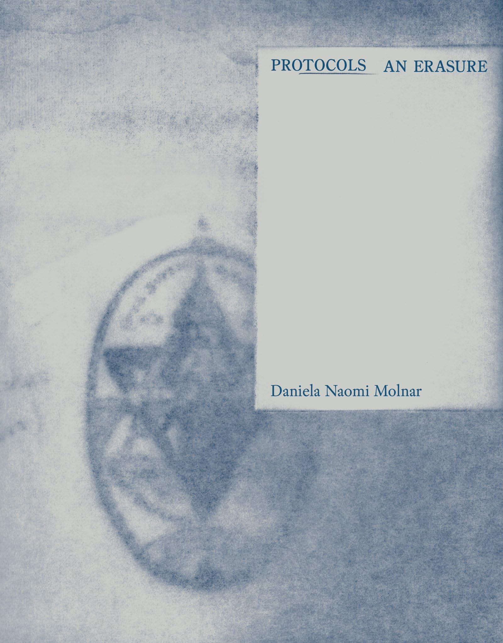 Protocols by Daniela Naomi Molnar PAPERBACK 9781961814233