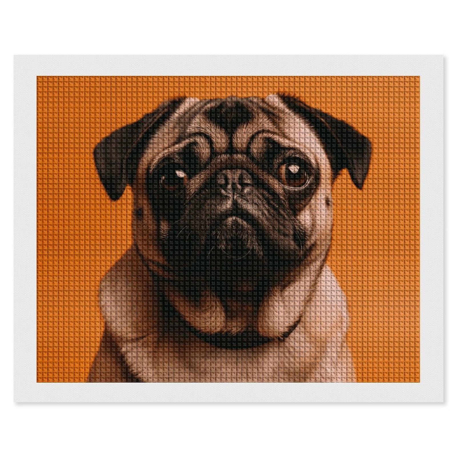 NONHAI Diamond Painting Kits for Adults - DIY Diamond Art Kits for Beginners - Full 5D Paint Drill Diamond Dots Paintings- A Pug Diamonds Pictures Gem Art and Craft Wall Decor 16"x20"