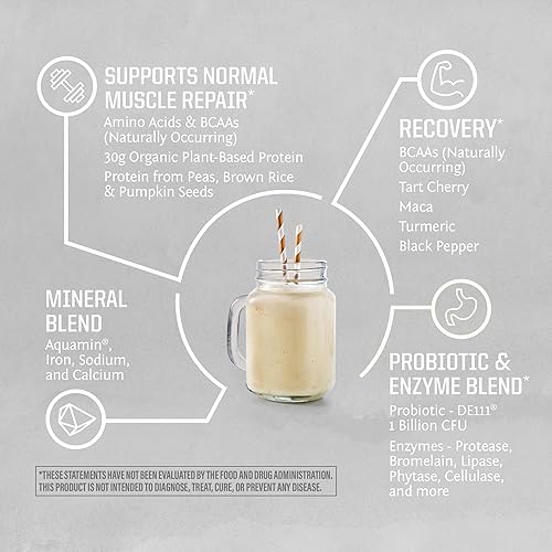 Miniatura 7 de Sunwarrior Proteína vegana en polvo orgánica USDA  BCAA sin azúcar sin gluten sin OMG sin lácteos  Chocolate 20 porciones  Proteína activa orgánica