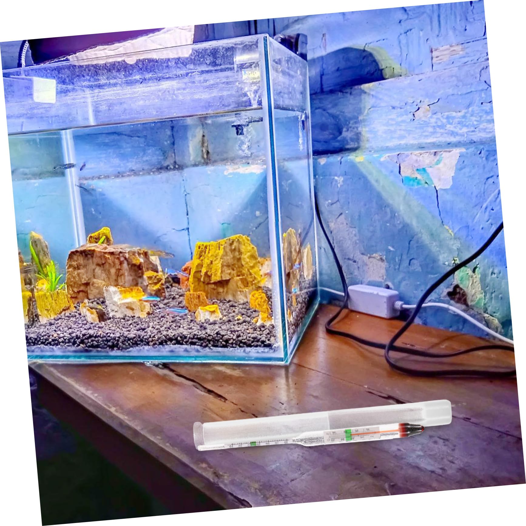 Toyvian 10 Juegos medidor de salinidad del Agua de mar Peces Suministros para acuarios de Agua Salada Tanque probadores de peceras hidrómetro de Vidrio hidrómetro acuático el plastico