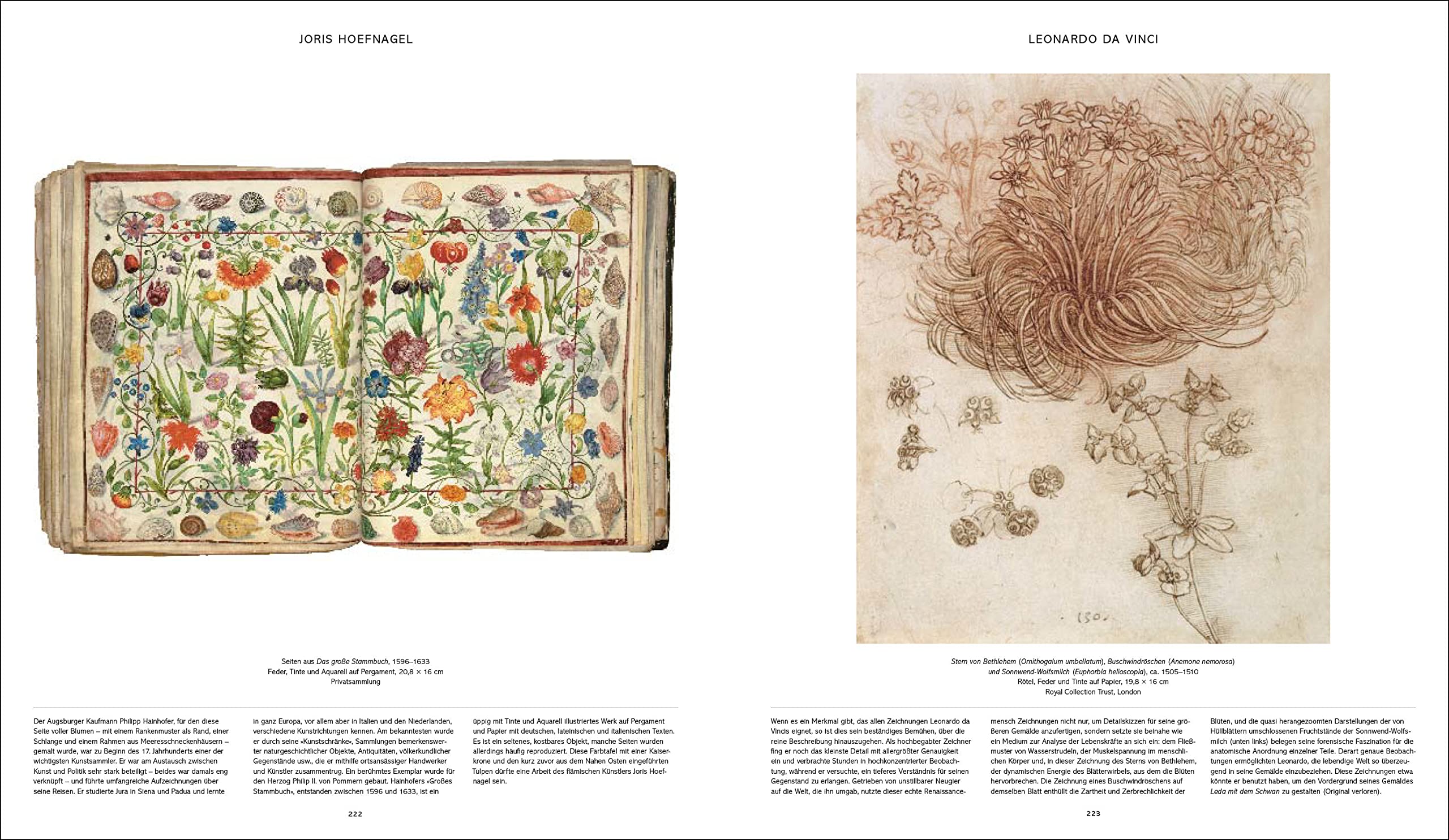 Flora: 3000 Jahre Pflanzendarstellung in der Kunst