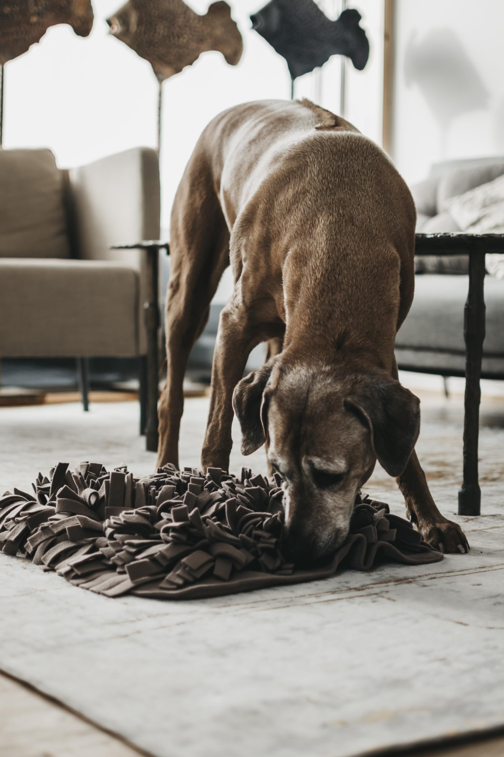 LILA LOVES IT - Schnüffelteppich für Hunde, 56 x 56 cm – Premium Hundespielzeug für eine hundgerechte Auslastung - stilvolles Design in edler Tragetasche - robust & waschbar