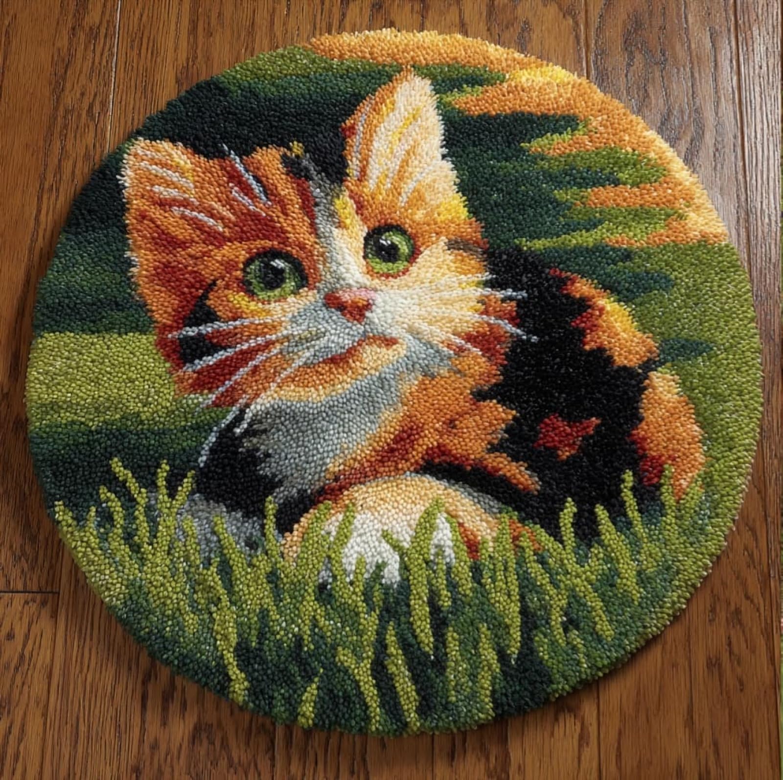 WallustrioaW DIY Latch Hook Rug Making Kit for Adults Kids,cat in the Grass,Handmade Rug Crochet Yarns DIY Door Mat Kits for Home Decor Festival Gift,50x50cm