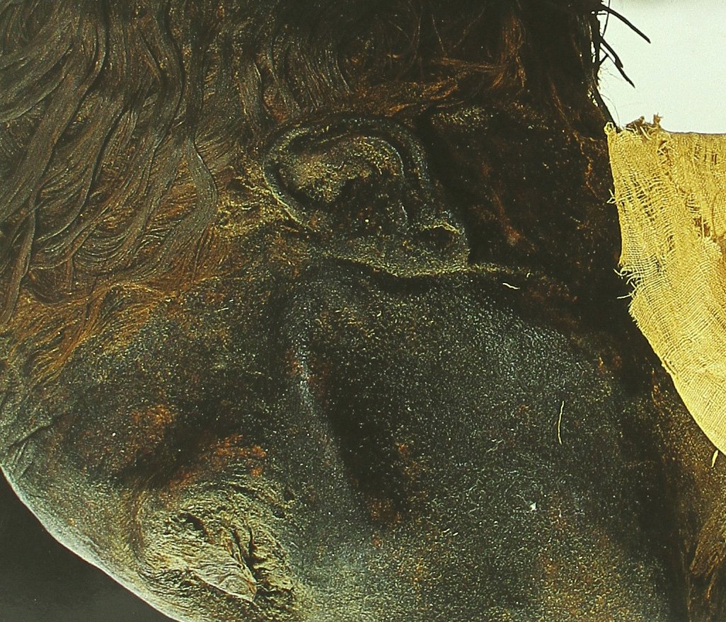 Momias Reales: La Inmortalidad en el Antiguo Egipto (Arte Milenario)