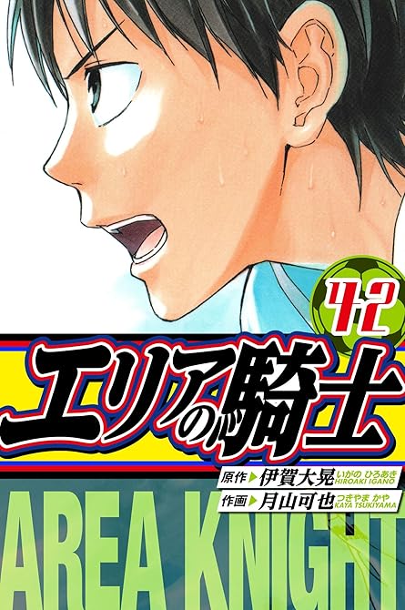 『エリアの騎士　愛蔵版　42』の表紙イラスト 電子書籍 漫画
