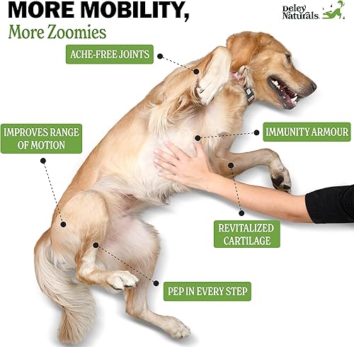 Miniatura 3 de Deley Naturals Alivio avanzado del dolor de artritis para perros - 120 masticables de glucosamina suave para perros con condroitina MSM y cúrcuma