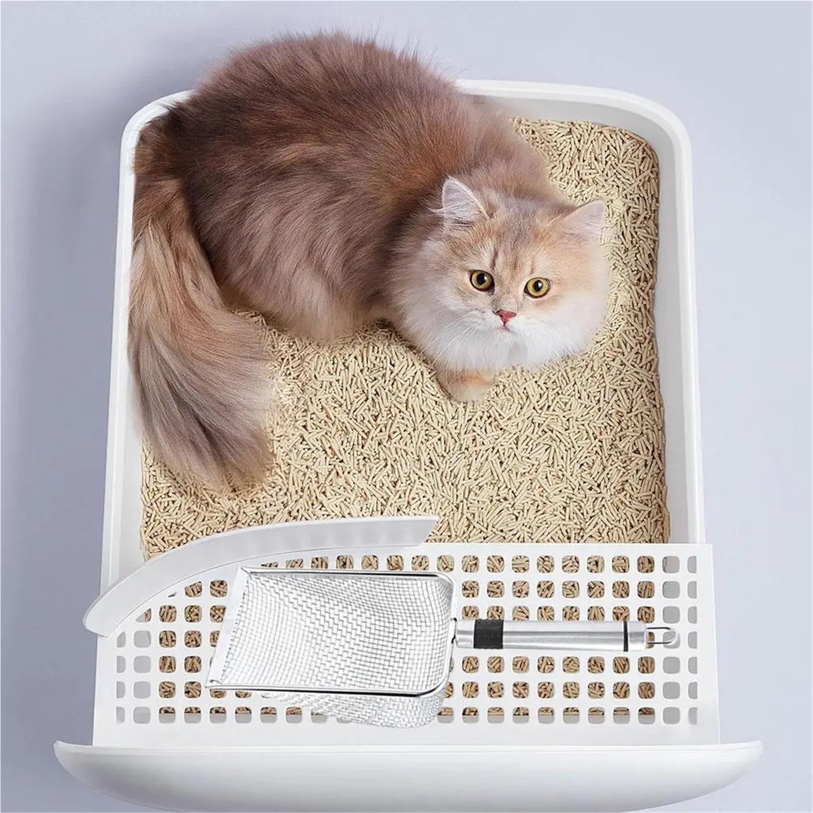 Katzenstreuschaufel Aus Edelstahl, Haustiertoilette Aus Metall