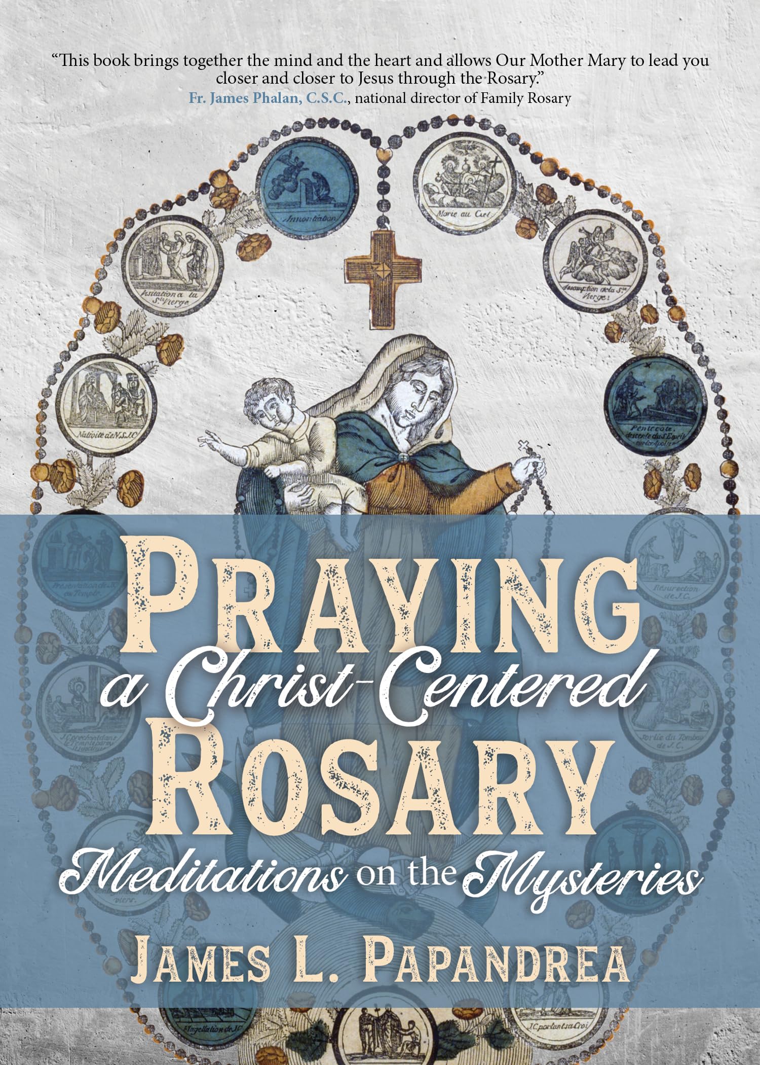 Buy Praying a Christ-centered Rosary: Meditations on the Mysteries — BookShops.in