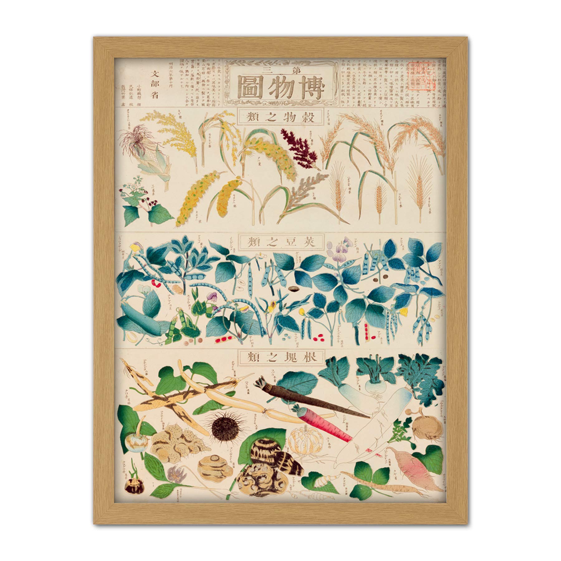 Artery8 Kato Chikusai Species of Flora Fauna Insects Japanese Artwork Framed Wall Art Print 18X24 Inch