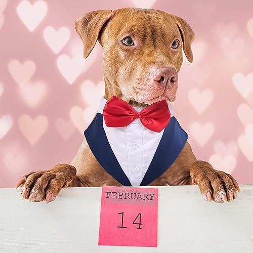 Miniatura 2 de PUMYPOREITY Traje de esmoquin para perro pequeño, traje de boda para perro, esmoquin de gato, esmoquin para perro y bandana para Chihuahua, Boston