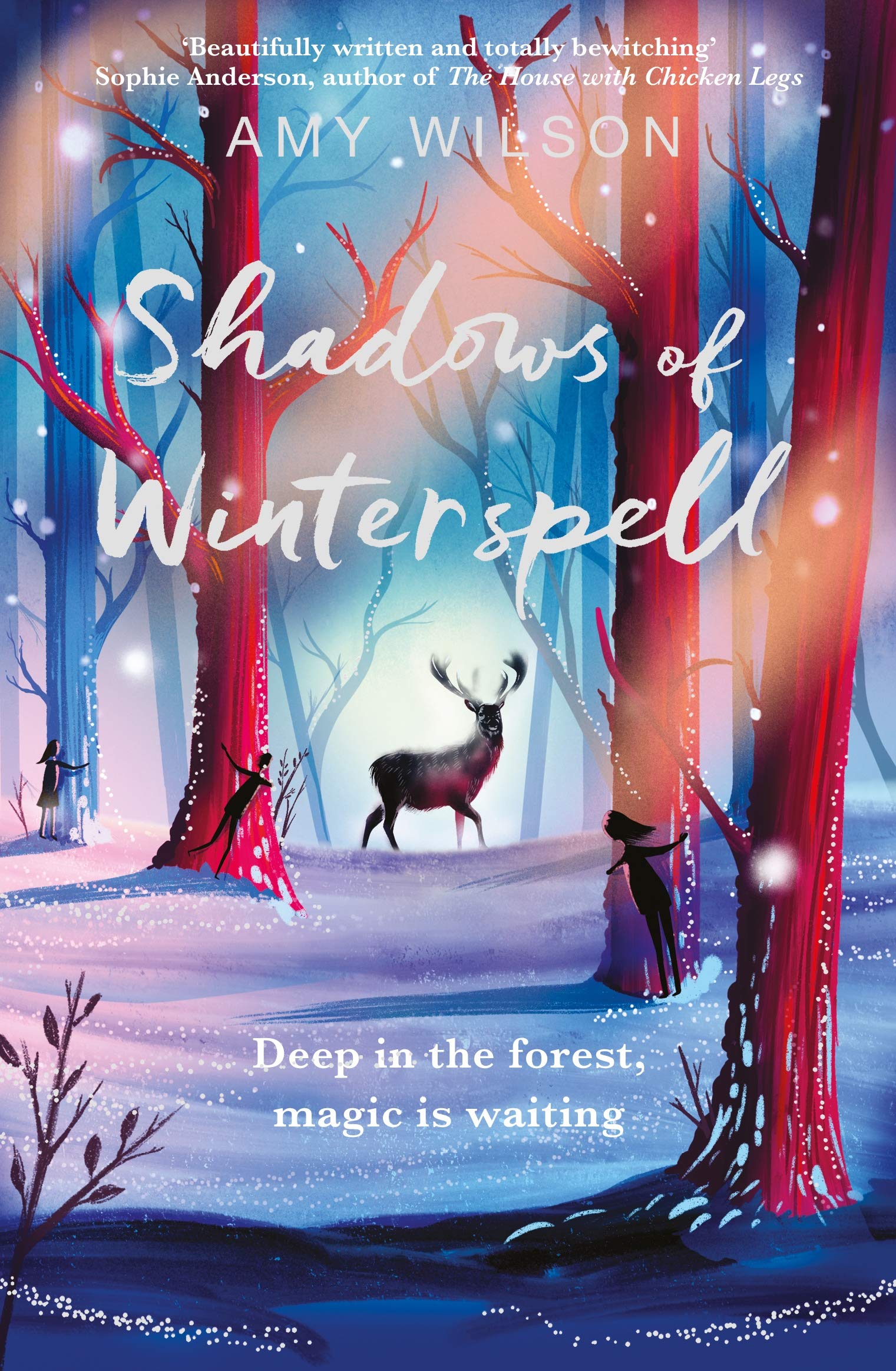 Macmillan Children's Books Shadows of Winterspell