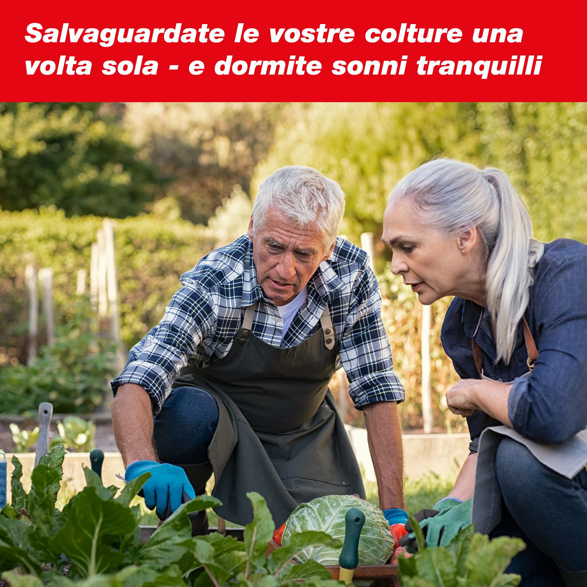 SWISSINNO Recinzione anti-lumache – Set completo da 2 m con angoli flessibili e pinza – Protezione per orto e aiuole – Modulare e resistente