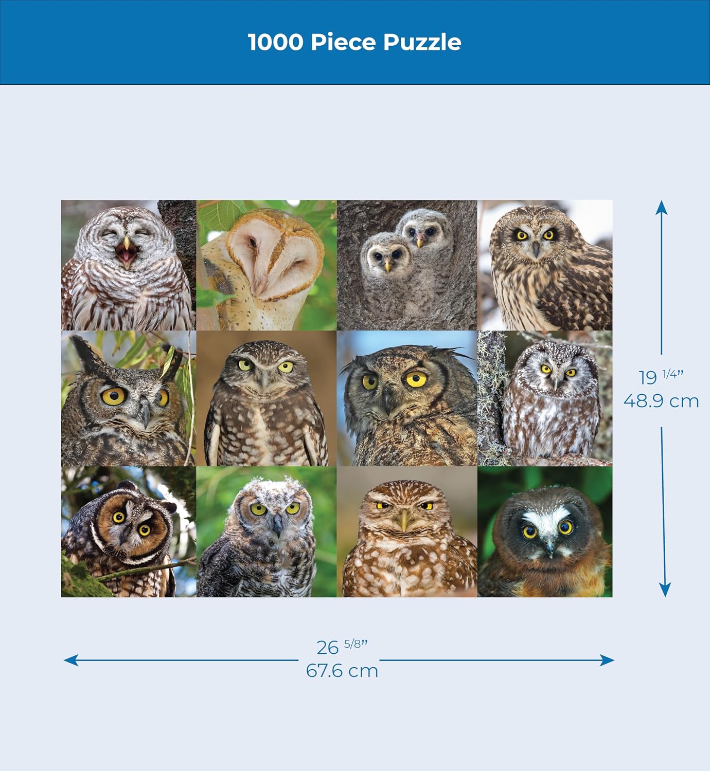 New York Puzzle Company - Cornell Lab Owls and Owlets - 1000 Piece Jigsaw Puzzle for Family Game Nights