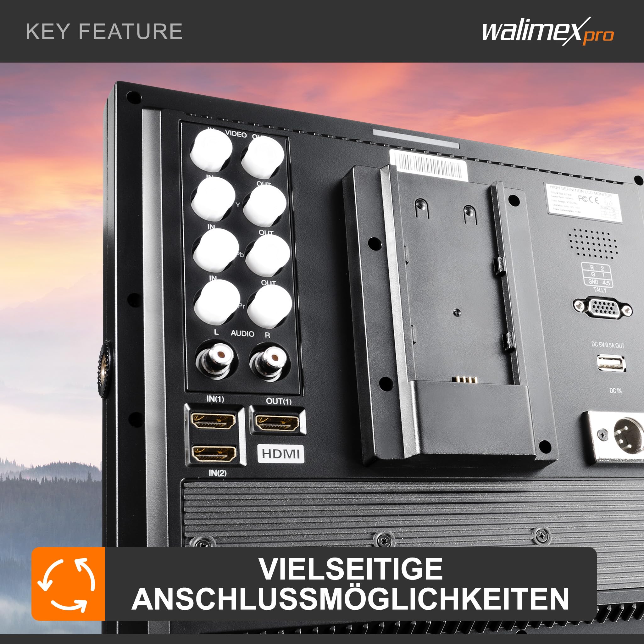 Walimex pro LCD Monitor Director II 9,7' Professioneller Video Screen 24,6 cm mit 1920 x 1080 Pixel, Full HD, 8-Fach Zoom, HDMI Out - für Video DSLR Kamera