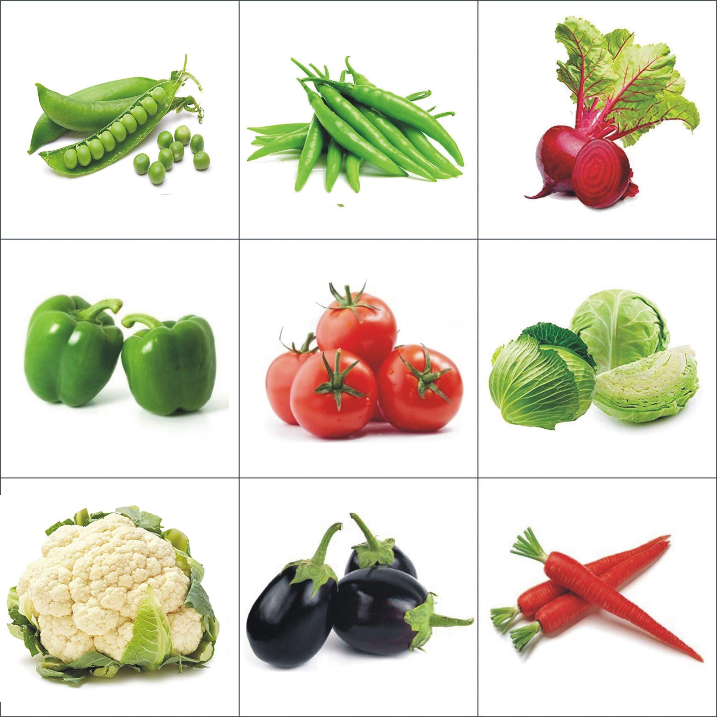 OMG ORGANIC SEEDS ! Combo Of Nine Winter Kitchen Garden Hybrid 100 + Seeds of each Vegitable-image-19