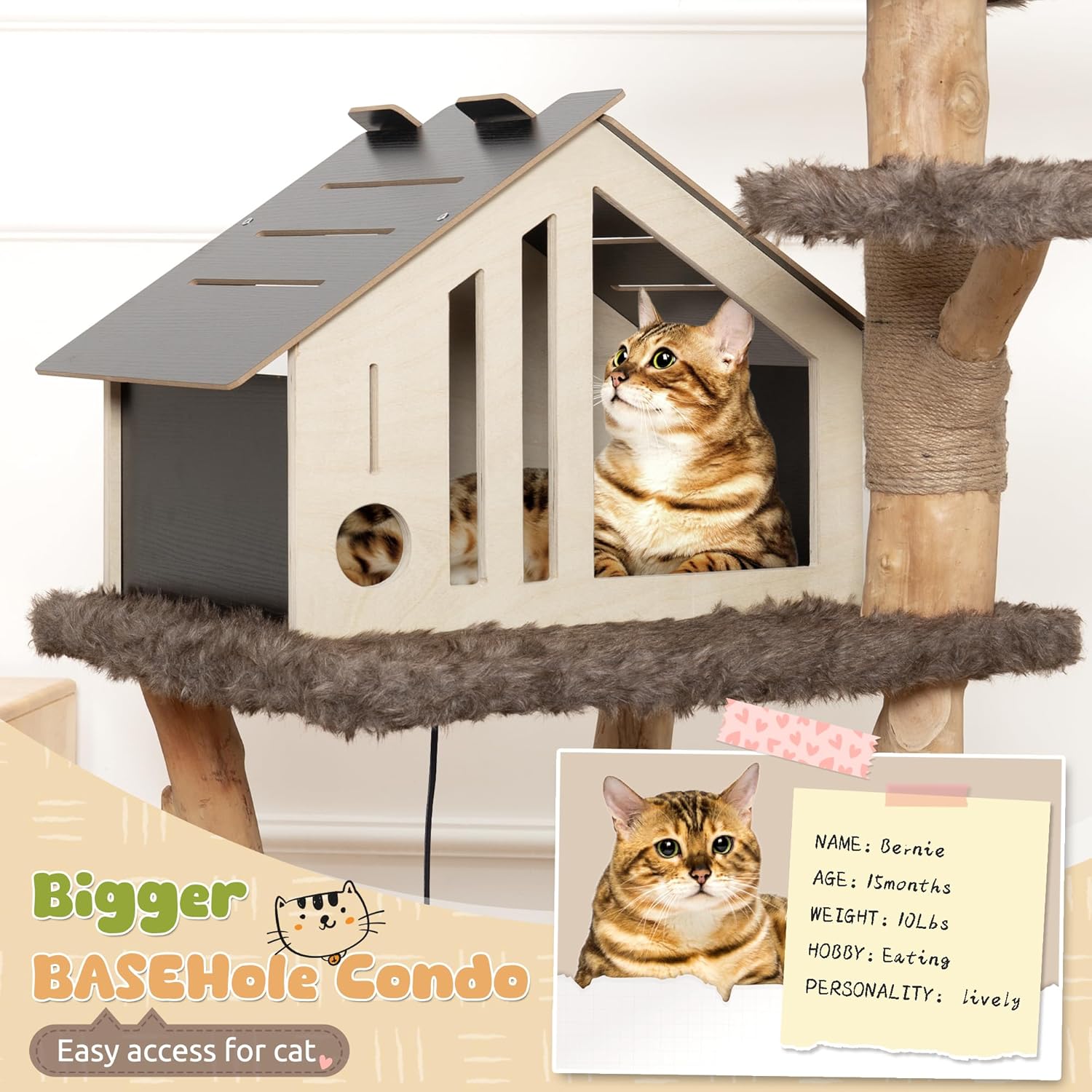review KAMABOKO Solid Wood Cat Tree with Luxury Cat Condo, 50.4