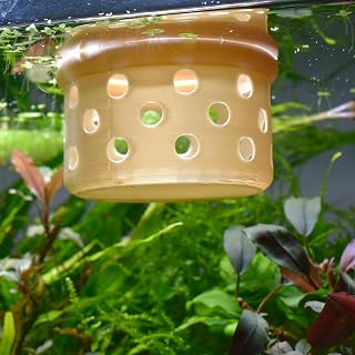 Floating Feeder for Small Fish and Shrimp, Floating Shrimp Feeder, Benefits of Targeted Feeding, Promote Healthy Diets, Aquarium Decor, 3" W x 1.7" H