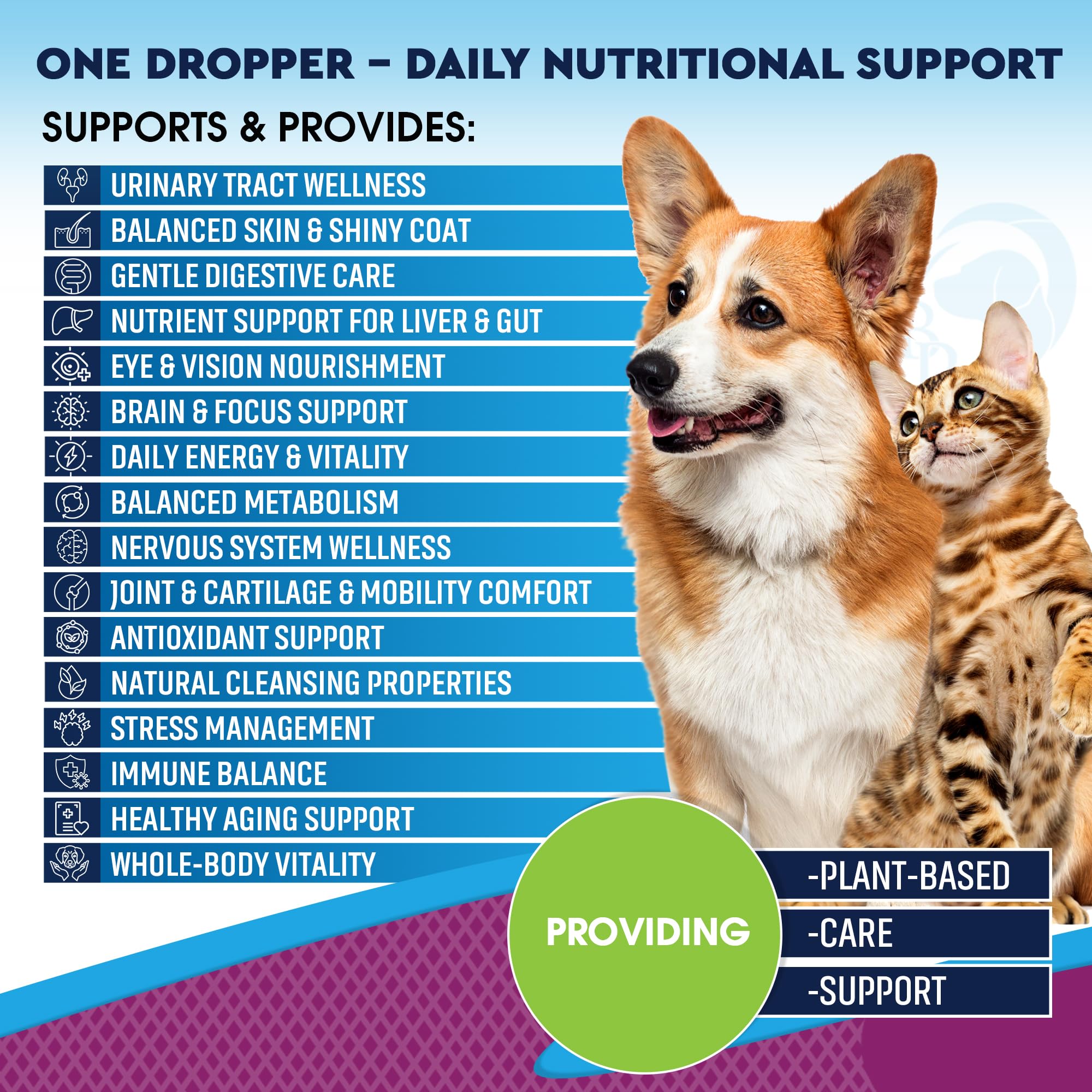 Beloved Pets 21-in-1 Multivitamin for Dogs and Cats – Liquid Drops with Glucosamine & Cranberry – Hip & Joint, Urinary Tract, Skin & Coat, Immune Support – All Breeds & Sizes – 2 fl oz / 60 mL in use