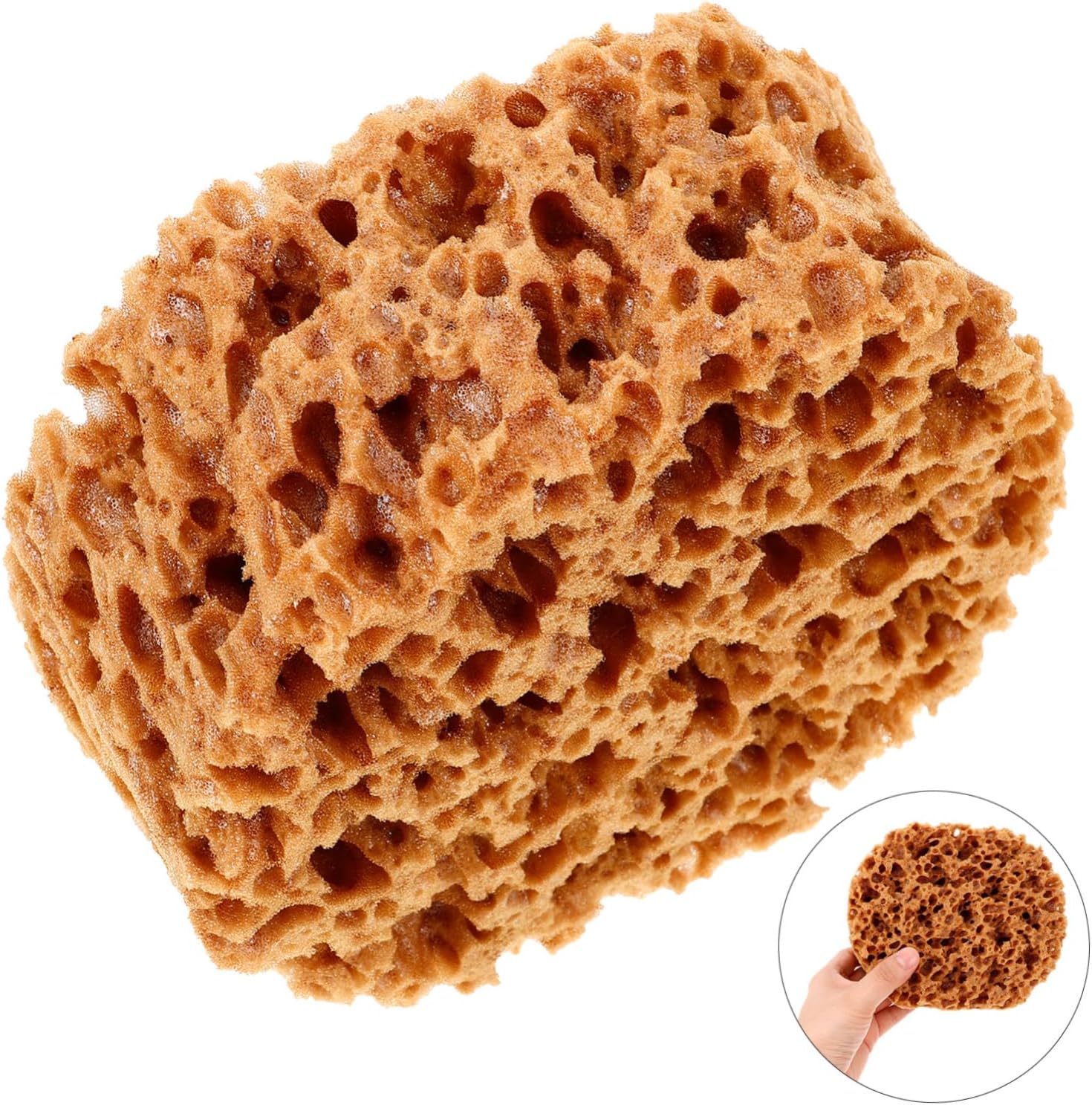 Toddmomy Natural Sea Sponge Painting Tool Reusable Paint Sponge for Arts and Crafts for Boys and Girls and Adults for Painting Projects Multi-Purpose Paint Applicator