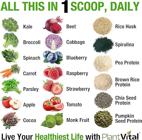 Miniatura 3 de New! Polvo de proteína de chocolate a base de plantas con 19 superalimentos, verduras y probióticos. Cacao crudo, col rizada, remolacha, espirulina