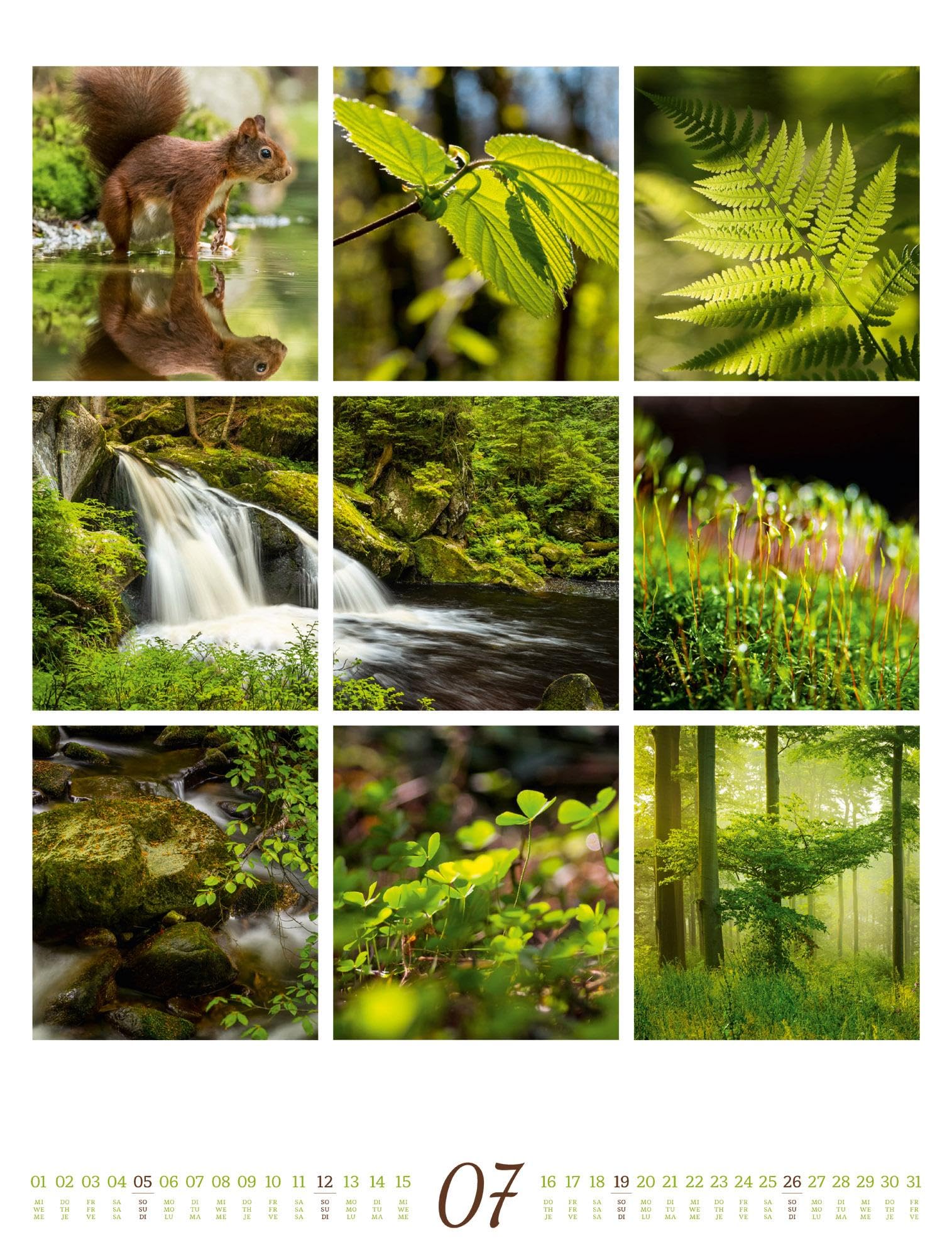Inspiration Natur Kalender 2026 | Vielfältiger Natur-Kalender im großen Hochformat (50x66 cm) | Mehrteilige Bildmosaike im Triplet-Stil