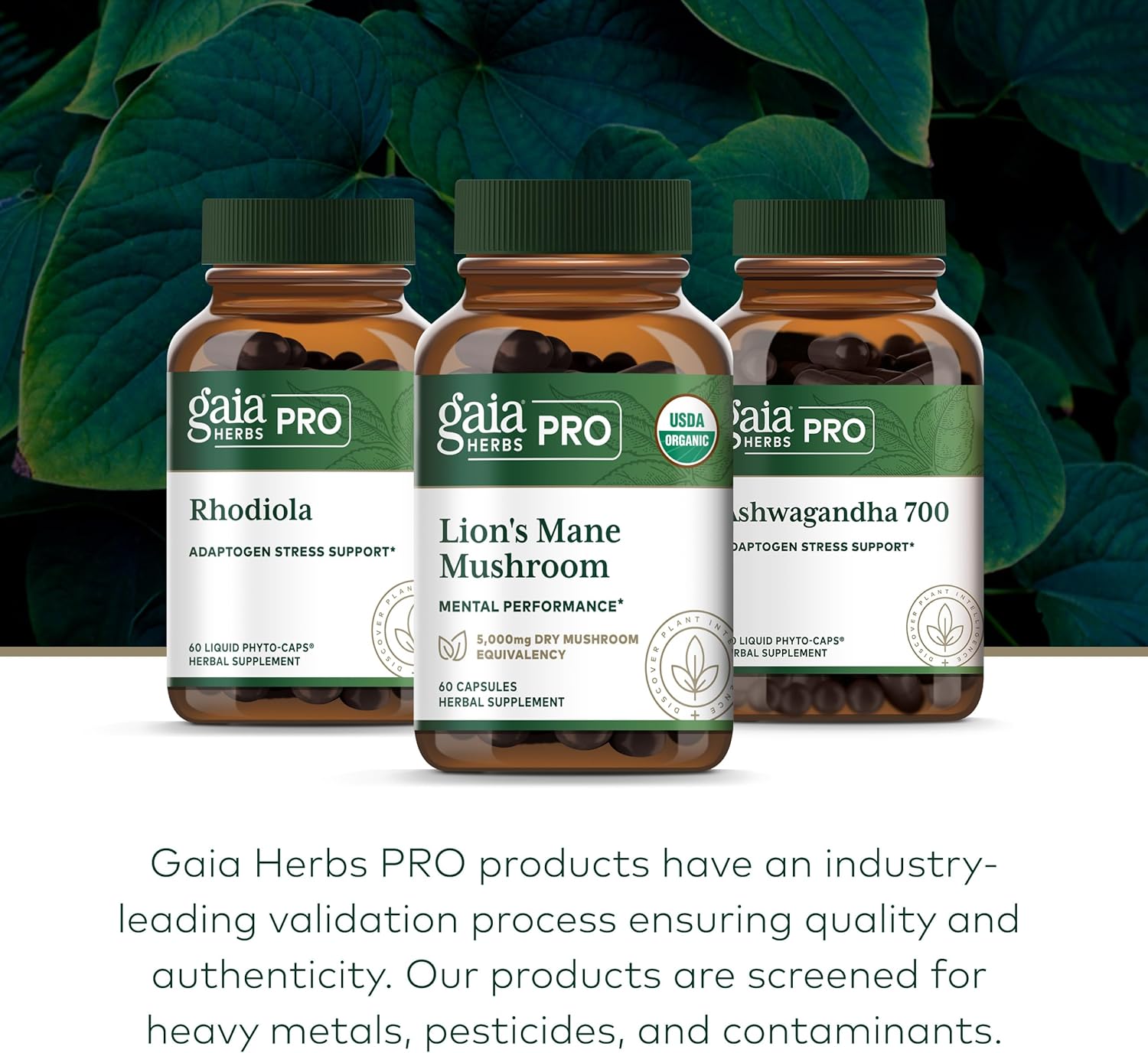 GAIA HERBS PRO Lion's Mane Mushroom - Supports Brain & Neurological Health* - Organic Mushrooms - Gluten-Free - 60 Capsules (30 Servings)