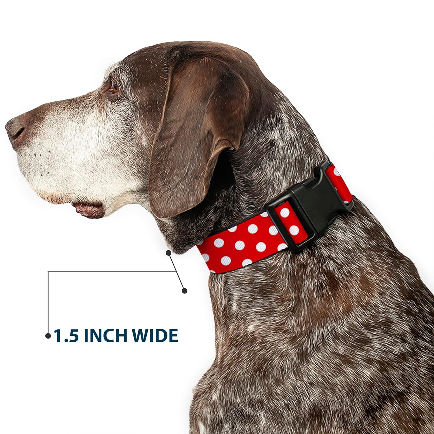 Buckle-Down Plastic Clip Collar - Minnie Mouse Polka Dots Red/White - 1.5" Wide - Fits 18-32" Neck - Large