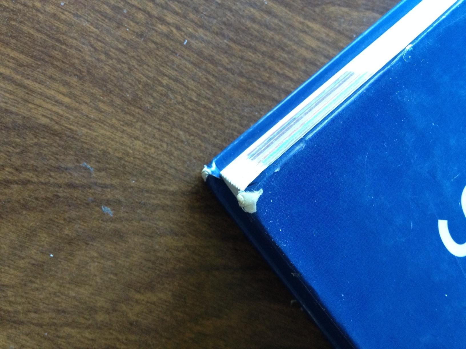 Essentials of Human Anatomy and Physiology - Image 4