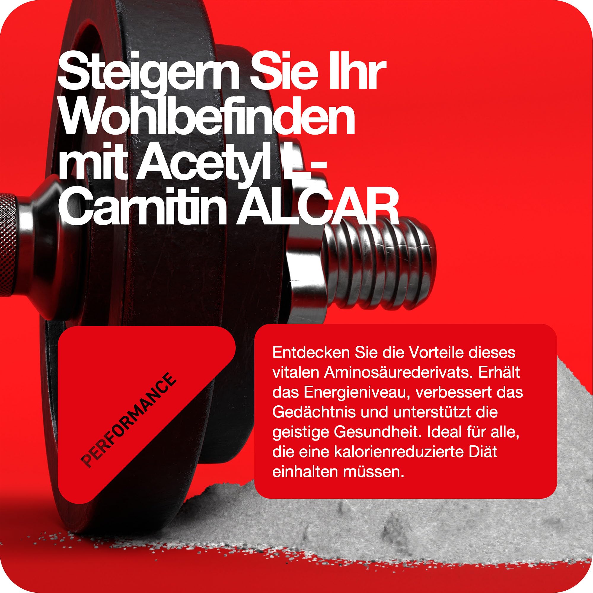 ALCAR Acetyl L-Carnitin Pulver 100g rein