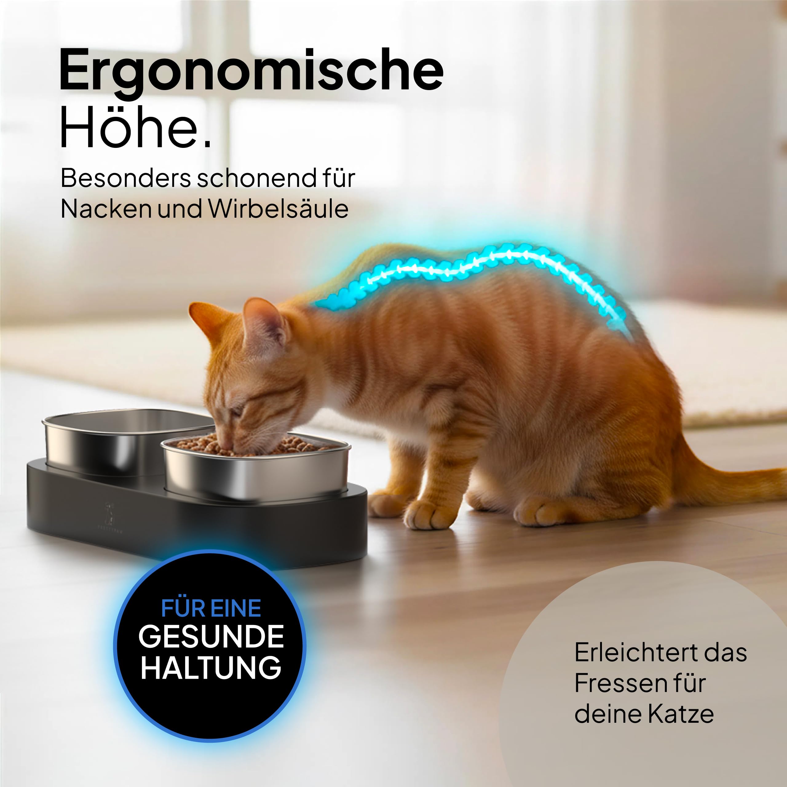 Pretty Paw Erhöhter Katzennapf – Doppel-Futternapf mit Rutschfester Plattform & Edelstahl-Schalen für ergonomisches Fressen (Schwarz)