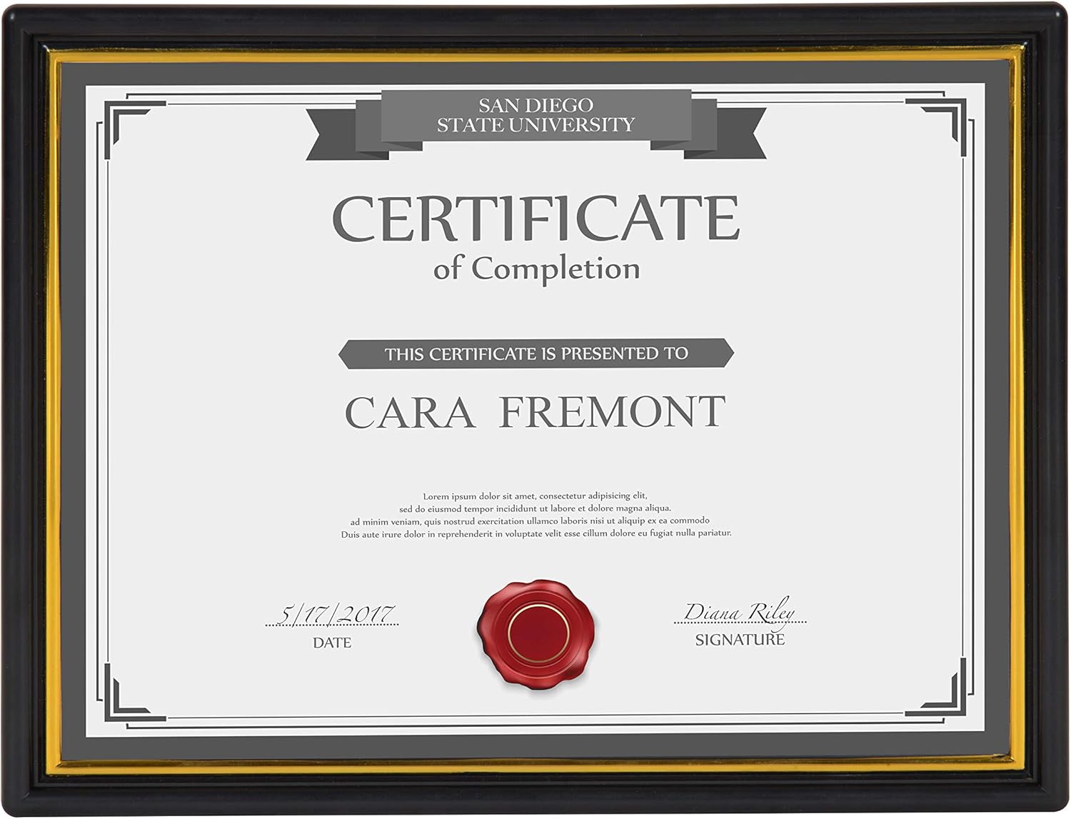 Uniek Corporate Document Frames, 8 1/2in. x 11in, Black/Gold, Pack of 12 : Office Products