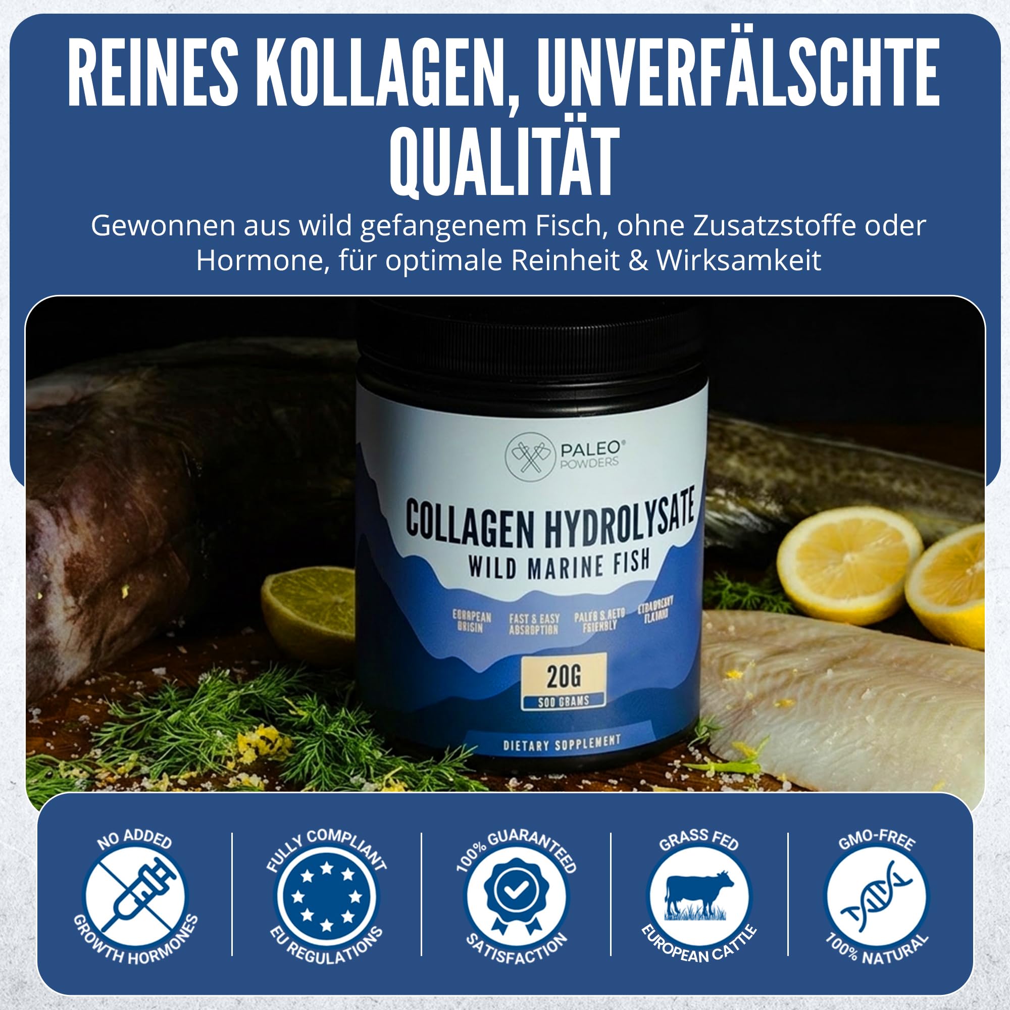 Poudre hydrolysate de collagène - Morue sauvage capturée d'Europe - 500 g