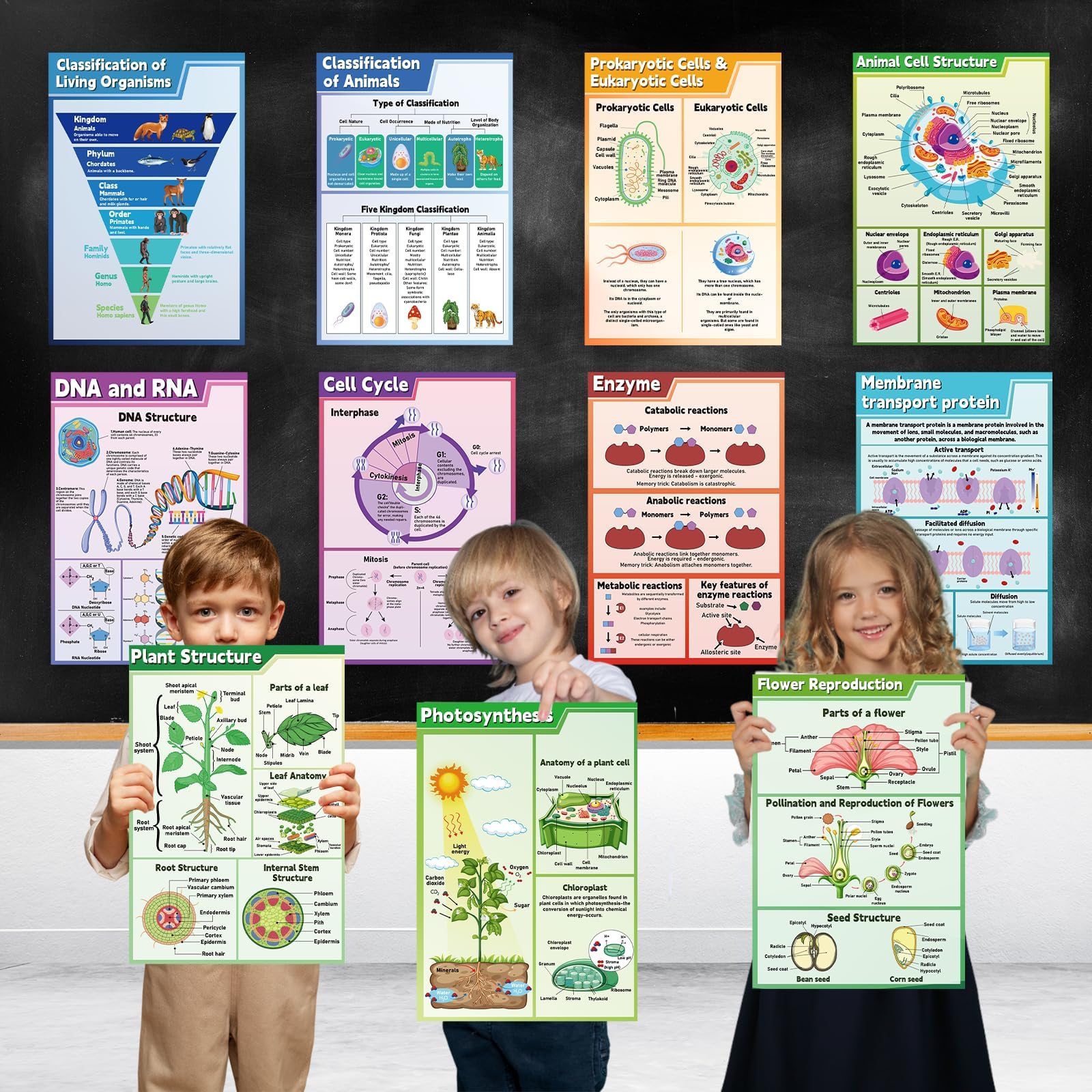 EggSun 16 Pcs Ecosystems Science Posters For High School - View #4