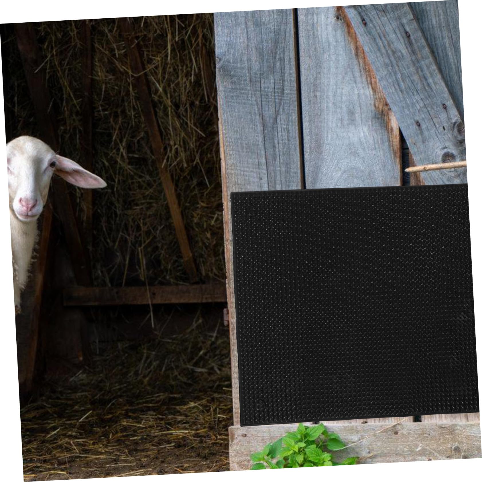 Spazzola Corpo Bovino Nera in Silicone 1 Pz per Stalla | Installazione Semplice, per Bovini e Mucche, Accessorio da Fattoria per Benessere Animale