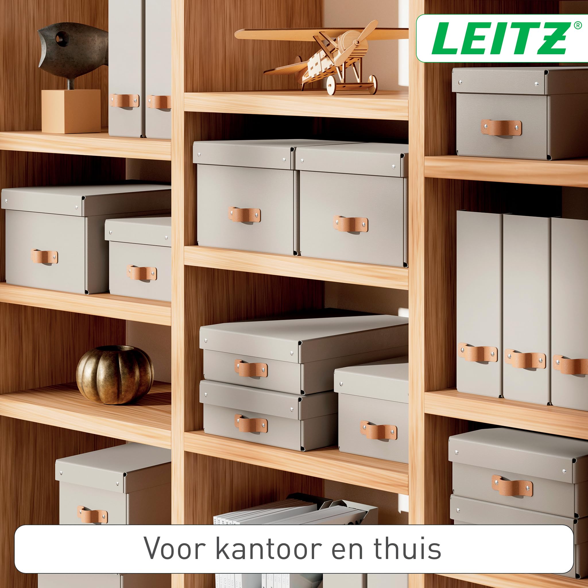 Leitz Opbergdoos, Click And Store-Assortiment, 60580062