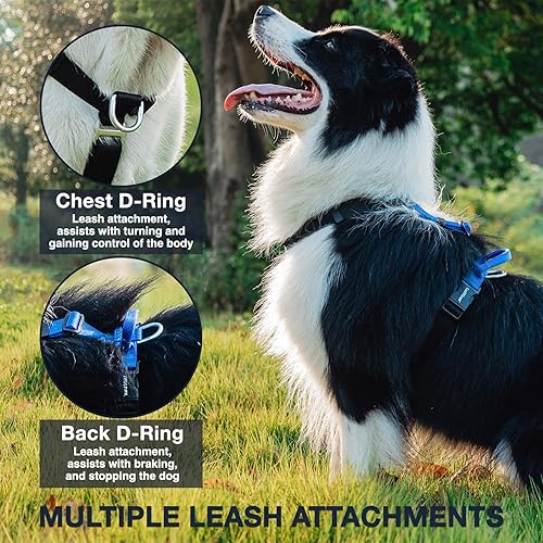 Miniatura 5 de Arnés para perro fácil de caminar y entrenar, sin tirones, arnés no restrictivo con hebilla para el cuello, correas de nailon, anillos en D de