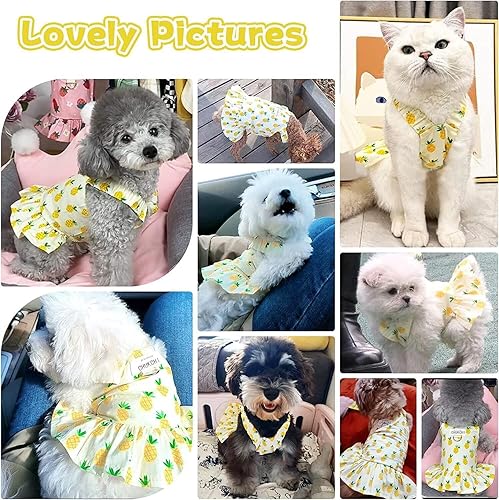 Miniatura 8 de Starwberry - Juego de arnés y correa para perro, lindo vestido de princesa con estampado de frutas para cachorros, ropa para perros pequeños, gatos,