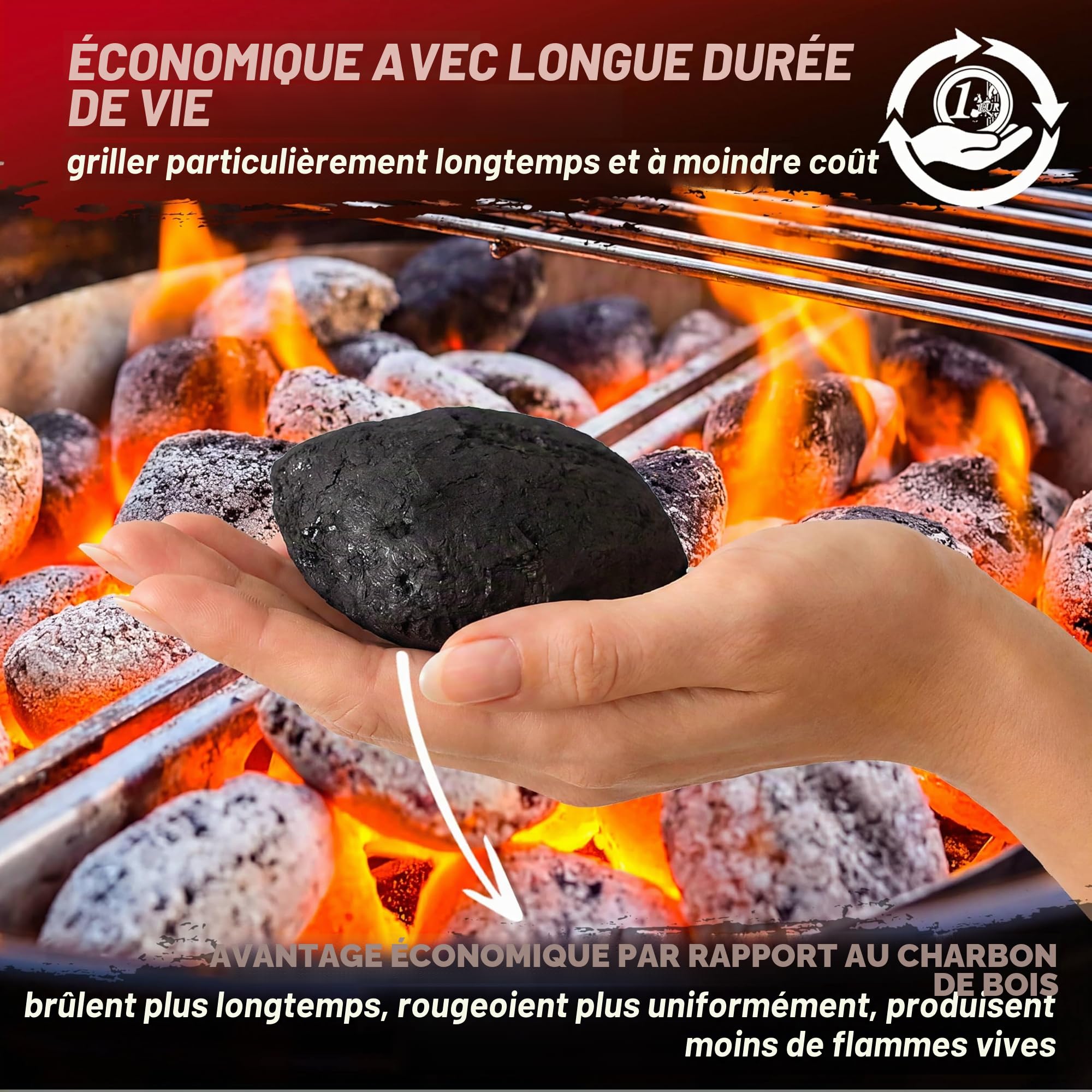 DEUBA® Briquettes de Charbon de Bois 27kg 9x3kg briquettes Bois Longue durée Barbecue BBQ braises Durable Grill briquets Charbon Bois Facile à Allumer