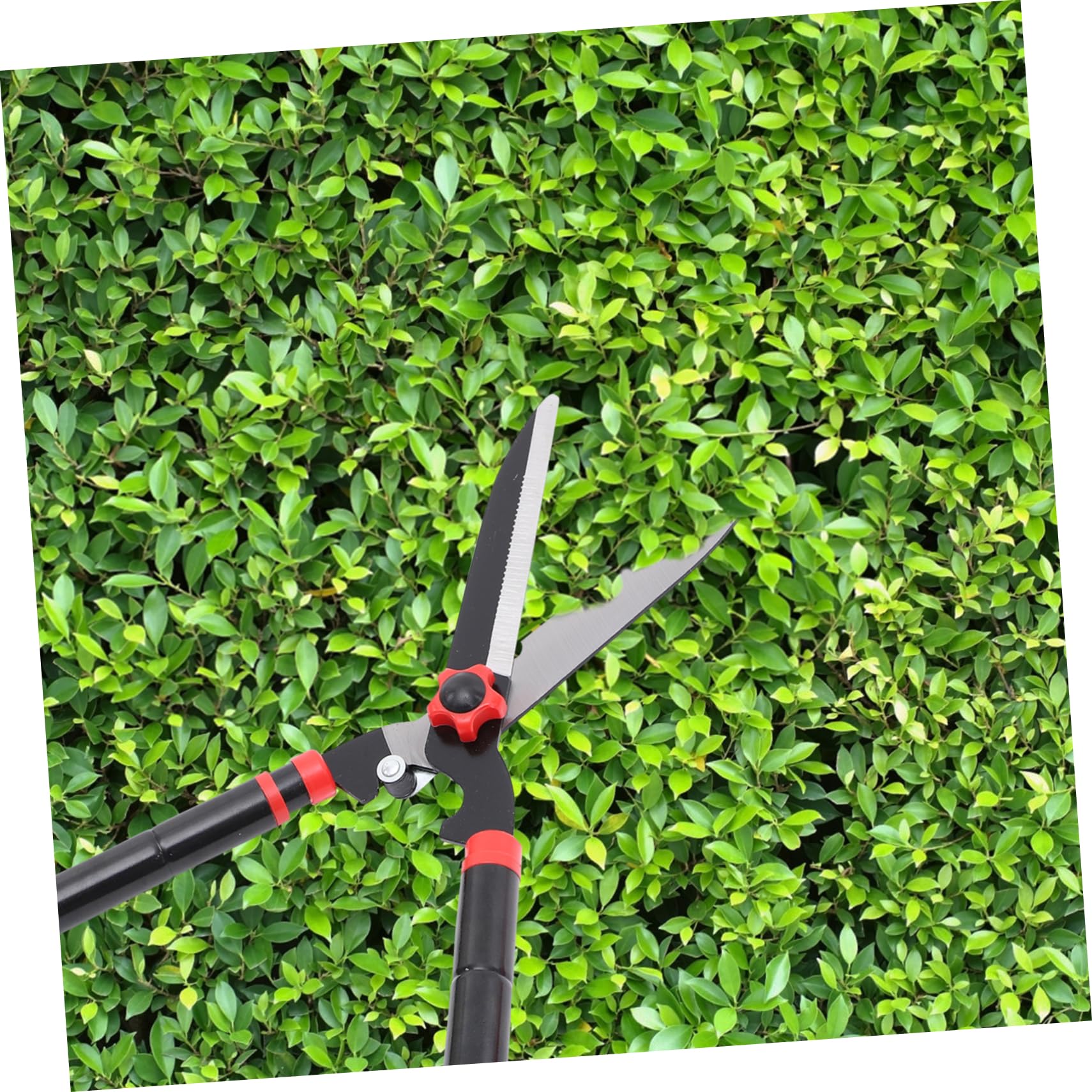 Cesoie Telescopiche da Giardino in Acciaio Sk5 22,44-30 Pollici