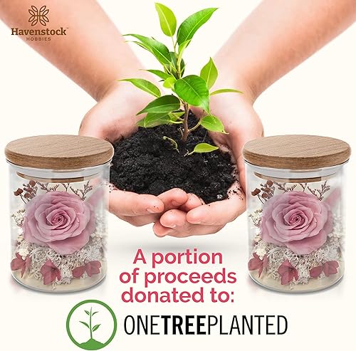 Miniatura 7 de Rosa rosa en una cúpula de cristal  Rosas reales de primera calidad que duran un año o más  Regalos únicos para el día de la madre para sus rosas